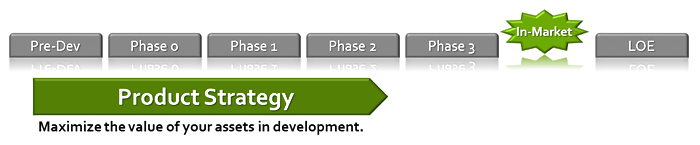Product Strategy